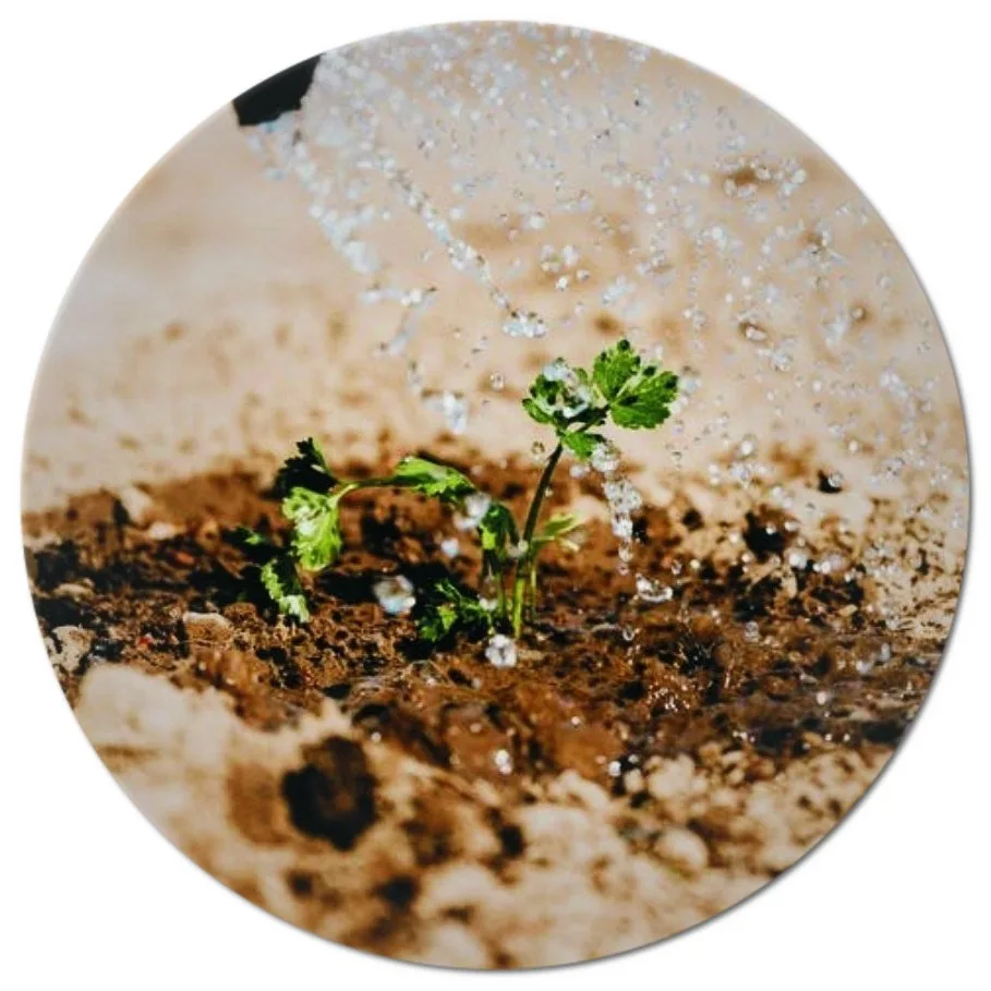 community development courses in kenya